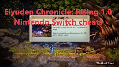 Eiyuden Chronicle: Rising 1.0 Nintendo Switch basic cheats