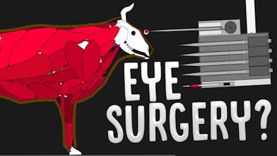 I Accidentally Became An Eye Surgeon &amp; All I Wanted Was A Hamburger - Algodoo