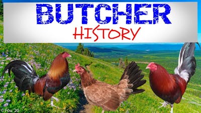 BUTCHER GAMEFOWL HISTORY