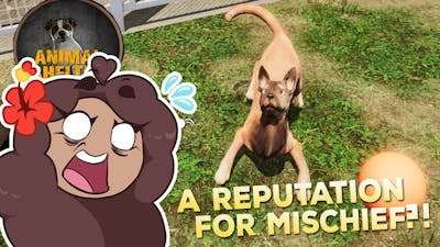 A Reputation For Disastrous Doggy MISCHIEF?! 🐶🩹 Animal Shelter Simulator Prologue