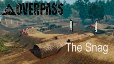 Overpass | The Snag