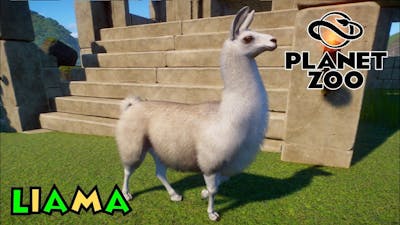Planet Zoo- South America Pack Overview- Llama