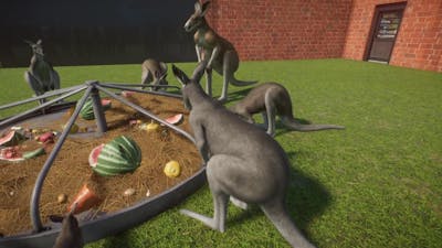Planet Zoo (PC)(English) #95 11 Minutes of Red Kangaroo (Australia DLC)