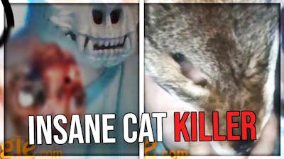 Insane TikTok Cat Killer - Crazy Cat Lady