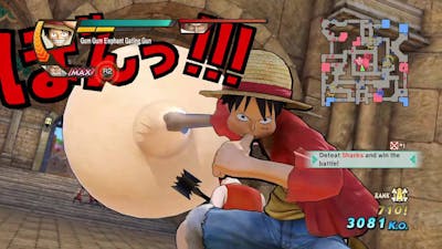 One Piece Pirate Warriors 3 Luffy level 100