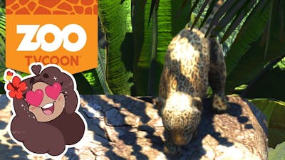 Baby Leopards on Slides?! Too Cute!! 🦁 Zoo Tycoon: Ultimate Animal Collection • #5
