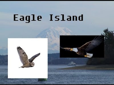 RETRO PLATFORMER, WITH EAGLES!!! // Eagle Island