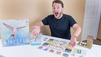 Solo mode? A look into board game solo modes using Wingspan
