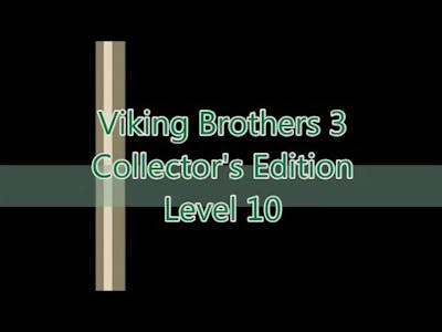 Viking Brothers 3 Level 10