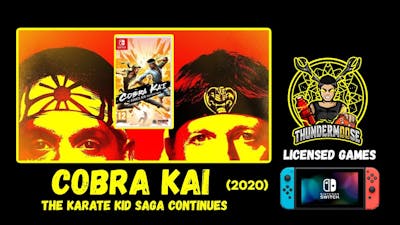 Licensed Games: Cobra Kai The Karate Kid Saga Continues (2020)