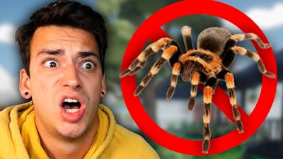 SCARY SPIDER INFESTATION! (Kill It With Fire)