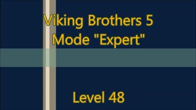 Viking Brothers 5 Level 48
