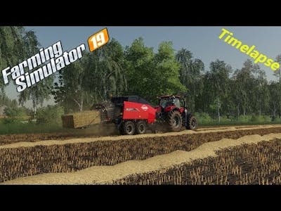 Farming Simulator 19 / The Old Farm Country Side #05 / New equipment!