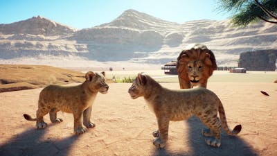 4 NEW TIGERS  LIONS FOR DESERT ZOO | PLANET ZOO #38