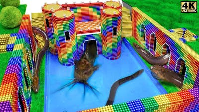 Build Underground Castle, Swimming Pool For Catfish and Eel From Magnetic Balls ( Satisfying )
