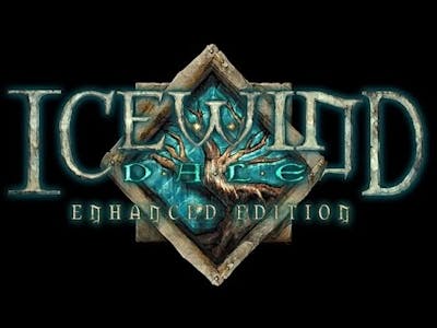 Icewind Dale : Enhanced Edition -  Belhifet Final Battle (Solo Sorcerer on Insane Difficulty)