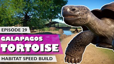 Galapagos Tortoise Habitat | Speed Build | Planet Zoo Episode 29