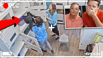 SPYING ON OUR PETS AT DAYCARE! - Super Cooper Sunday 327