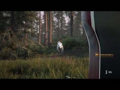 More legendary predators | Hunting Sim 2
