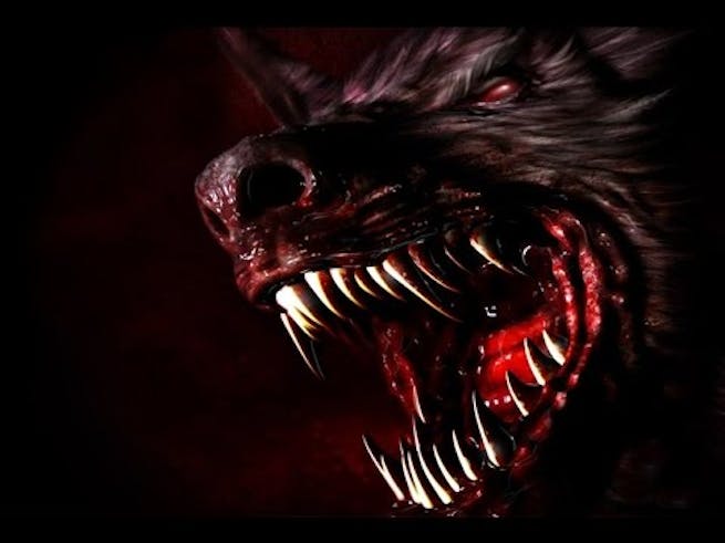 Overcast: Walden and the Werewolf - Metacritic