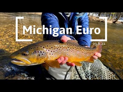Euro Fishing Michigan - LOTS of Steelhead Hookups and Landing Some Trout