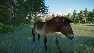 Planet Zoo (PC)(English) #129 6 Minutes of Przewalski’s horse (Conservation Pack DLC)