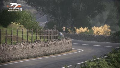 TT Isle of Man: Ride on the Edge 3 Triump 675 Moto2