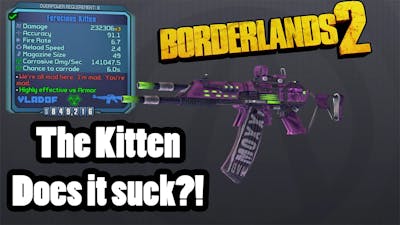 Borderlands 2: The Kitten- Does it Suck?!