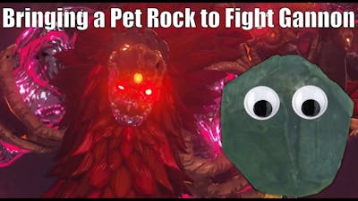 Taking My Pet Rock With Me to Fight Gannon