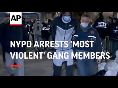 NYPD arrests  gang members
