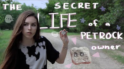 THE SECRET LIFE OF A PET ROCK OWNER