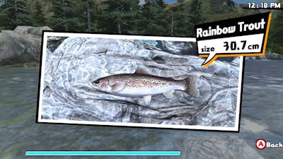 Fishing Video For statistics Practice (NC Mountain Native Fish)