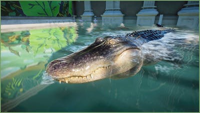 🐊Realistic American alligator indoor and outdoor habitat | Amalfina Zoo | Planet Zoo | speedbuild🌴