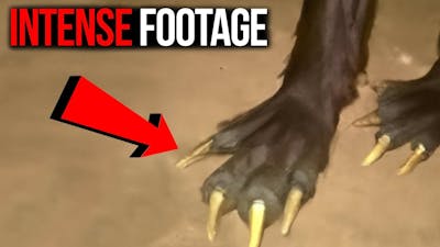 Disturbing Trail Cam FOOTAGE No One Expected to SEE